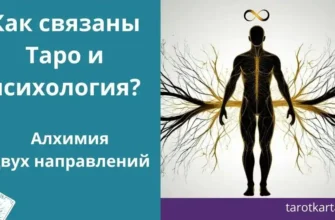 Как связаны Таро и психология, обучение, практика